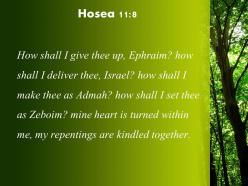 Hosea 11 8 all my compassion is aroused powerpoint church sermon