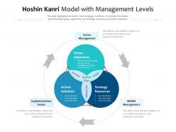 Hoshin Kanri Model With Management Levels
