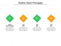 Hoshin kanri principles ppt powerpoint presentation gallery examples cpb