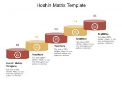 Hoshin matrix template ppt powerpoint presentation infographics format ideas cpb