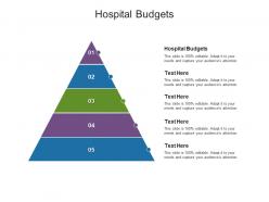 Hospital budgets ppt powerpoint presentation ideas diagrams cpb