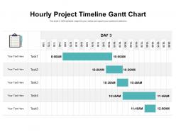 Hourly project timeline gantt chart
