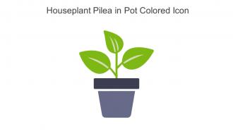 Houseplant Pilea In Pot Colored Icon In Powerpoint Pptx Png And Editable Eps Format