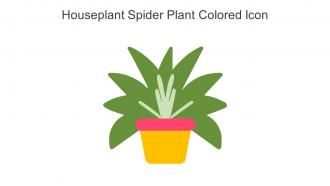 Houseplant Spider Plant Colored Icon In Powerpoint Pptx Png And Editable Eps Format