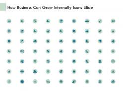 How business can grow internally icons slide ppt powerpoint gallery icons
