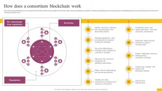How Does A Consortium Blockchain Work Complete Guide To Understand BCT SS
