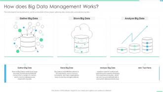 How Does Big Data Management Works Ppt Inspiration Outfit