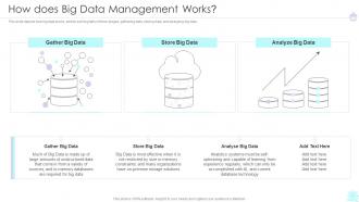 How Does Big Data Management Works Ppt Pictures