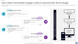 How Does Immutable Ledger Works In Role Of Immutable Ledger In Blockchain BCT SS