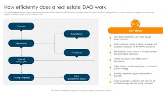 How Efficiently Does A Real Estate DAO Work Ultimate Guide To Understand Role BCT SS