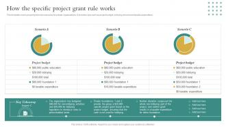How The Specific Project Grant Rule Works Non Profit Business Playbook Ppt Professional Graphics Download