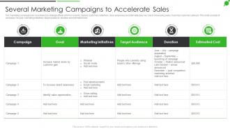 How To Improve Firms Profitability Several Marketing Campaigns To Accelerate Sales