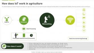 How To Use Ai In Agriculture How Does IoT Work In Agriculture AI SS