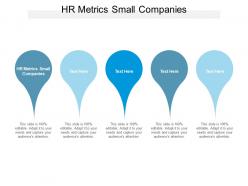 Hr metrics small companies ppt powerpoint presentation background images cpb