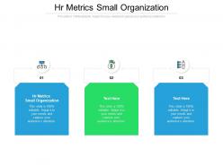 Hr metrics small organization ppt powerpoint presentation portfolio topics cpb