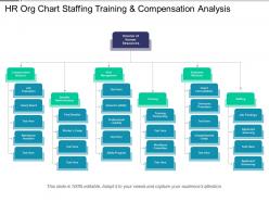 Hr org chart staffing training and compensation analysis
