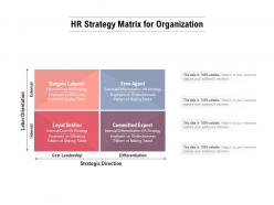 Hr strategy matrix for organization