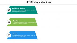 Hr strategy meetings ppt powerpoint presentation icon clipart images cpb