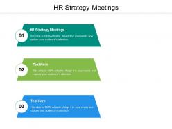 Hr strategy meetings ppt powerpoint presentation inspiration graphics template cpb