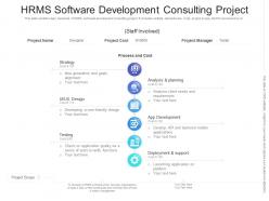 HRMS Software Development Consulting Project