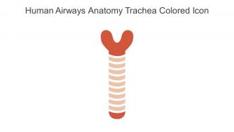 Human Airways Anatomy Trachea Colored Icon In Powerpoint Pptx Png And Editable Eps Format