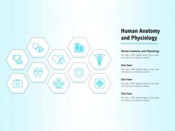 Human anatomy and physiology ppt powerpoint presentation styles layout ideas