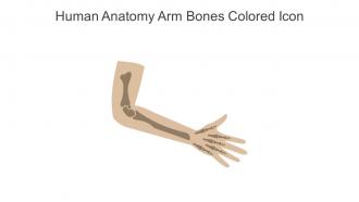 Human Anatomy Arm Bones Colored Icon In Powerpoint Pptx Png And Editable Eps Format