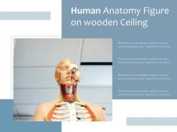 Human anatomy figure on wooden ceiling