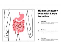 Human anatomy icon with large intestine