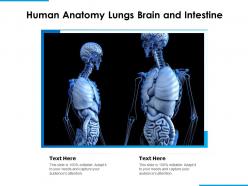 Human anatomy lungs brain and intestine