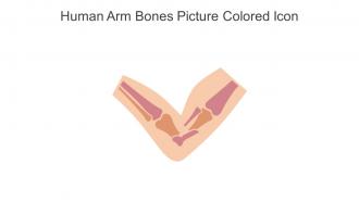 Human Arm Bones Picture Colored Icon In Powerpoint Pptx Png And Editable Eps Format