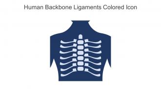 Human Backbone Ligaments Colored Icon In Powerpoint Pptx Png And Editable Eps Format