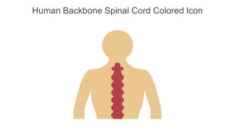 Human Backbone Spinal Cord Colored Icon In Powerpoint Pptx Png And Editable Eps Format