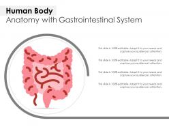 Human body anatomy with gastrointestinal system