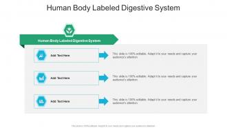 Human Body Labeled Digestive System In Powerpoint And Google Slides Cpb