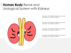 Human body renal and urological system with kidneys