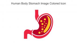Human Body Stomach Image Colored Icon In Powerpoint Pptx Png And Editable Eps Format