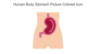 Human Body Stomach Picture Colored Icon In Powerpoint Pptx Png And Editable Eps Format