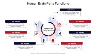 Human Brain Parts Functions In Powerpoint And Google Slides Cpb