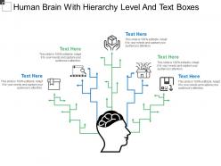 Human Brain With Hierarchy Level And Text Boxes