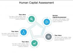 Human capital assessment ppt powerpoint presentation portfolio sample cpb