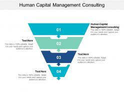 Human capital management consulting ppt powerpoint presentation file slide portrait cpb