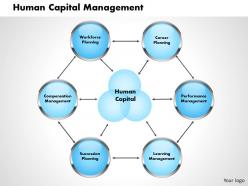 Human Capital Management Powerpoint Presentation Slide Template
