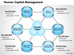 Human capital management powerpoint presentation slide template