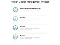 Human capital management process ppt powerpoint presentation styles smartart cpb