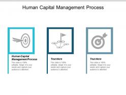 Human capital management process ppt powerpoint presentation summary rules cpb