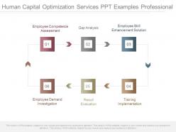 Human capital optimization services ppt examples professional