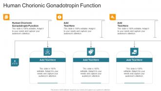 Human Chorionic Gonadotropin Function In Powerpoint And Google Slides Cpb