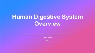 Human Digestive System Overview PPT Example AT