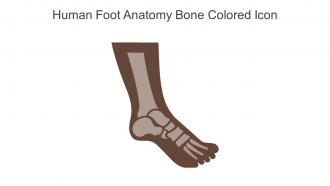 Human Foot Anatomy Bone Colored Icon In Powerpoint Pptx Png And Editable Eps Format
